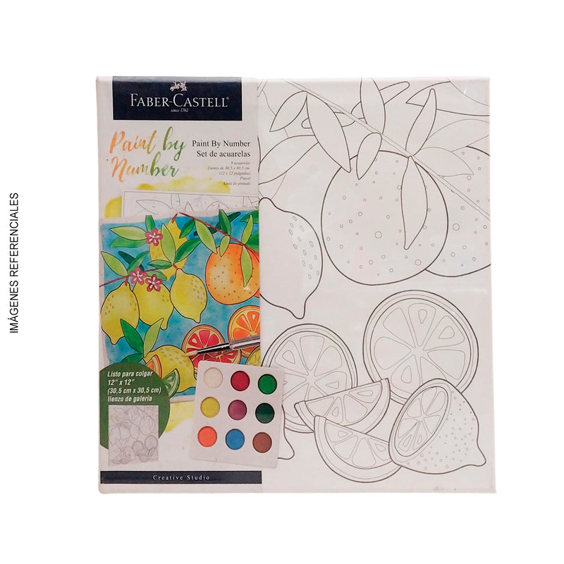 Lienzo Paint Faber By Number Frutas + 9 Acuarelas