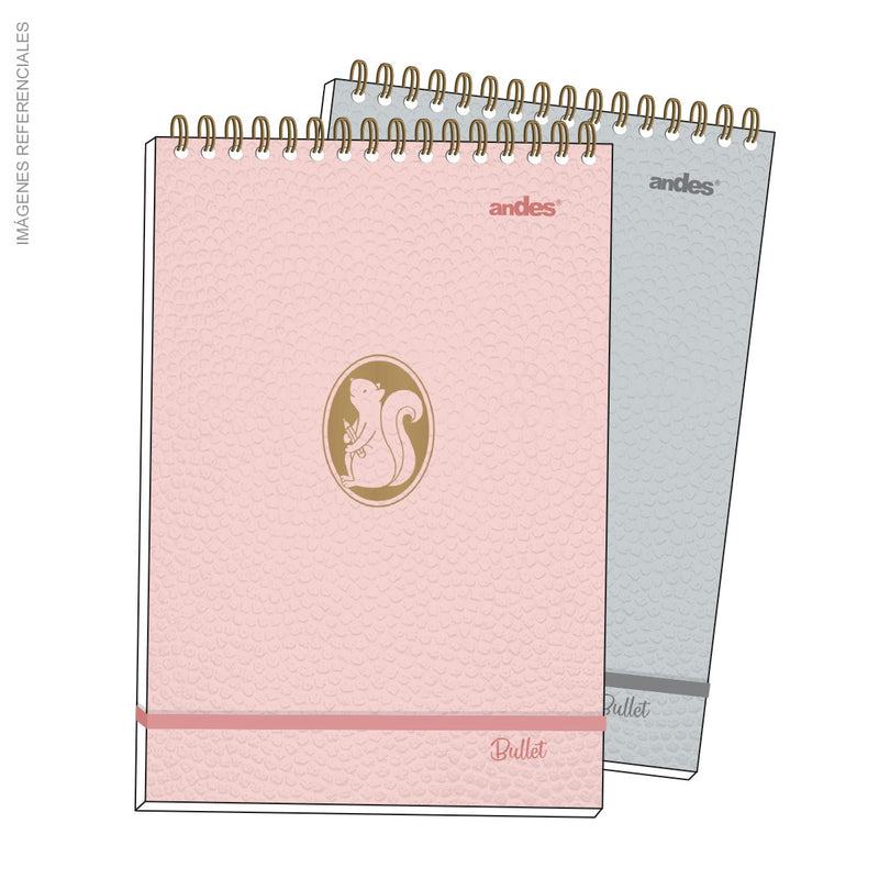 Bitacora Andes Lettering A4 X90H - 90 Gr