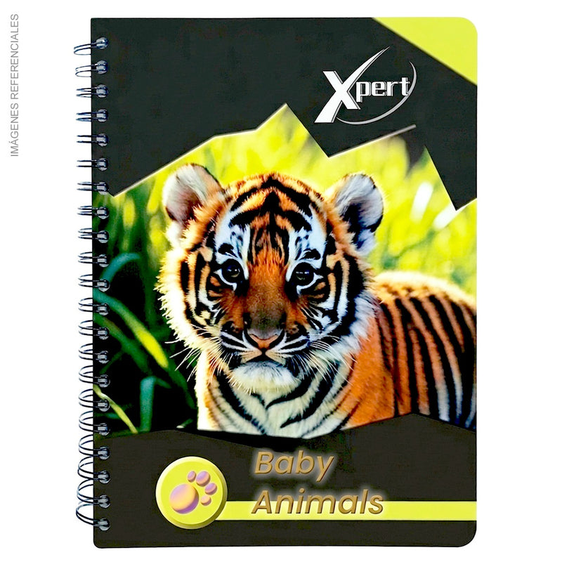 Cuaderno Espiralado Cuadriculado X-Pert A4 170 Hj (56Grs) Tapa carton con Diseño