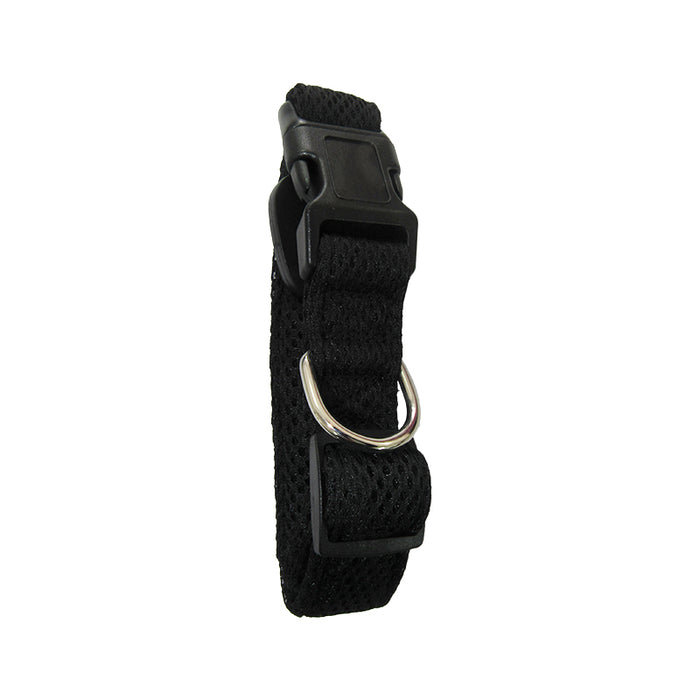 Collar Perro Negro M (G-6201) 2.5*50 Cm
