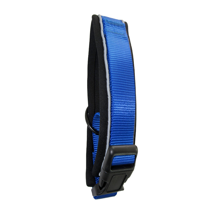 Collar Perro Azul M (G-6204) 2.0*50 Cm