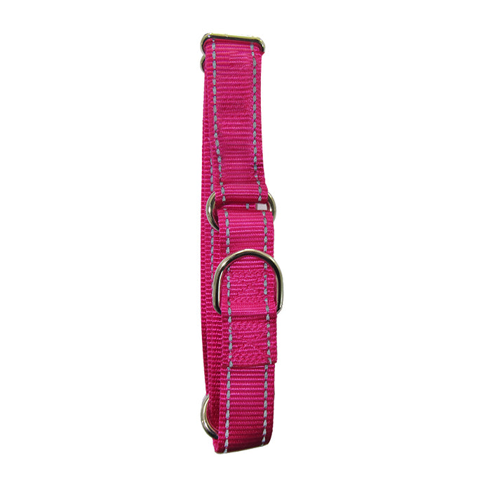Collar Perro Ancho Rojo (G-6209) 2.5*40 Cm
