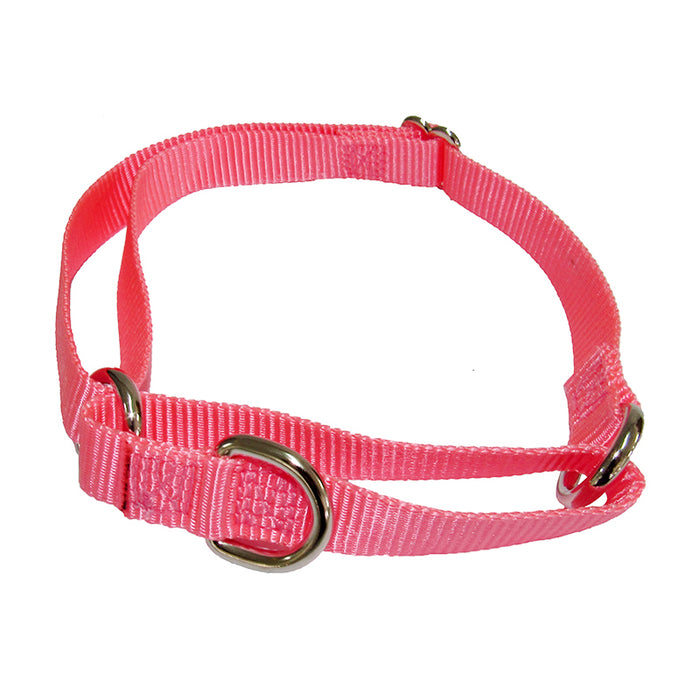 Collar Perro Ancho Rosado S (G-6210) 1.5*40 Cm