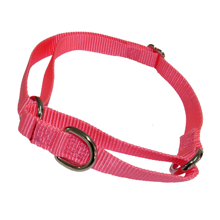 Collar Perro Ancho Rosado L (G-6210) 2.5*60 Cm