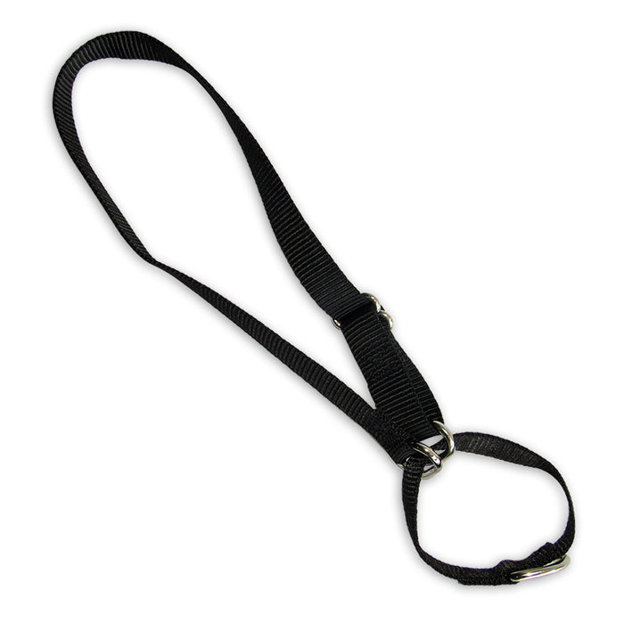 Collar Perro Ancho Negro M (G-6210) 2.0*50 Cm