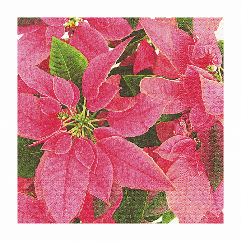 Dsa Servilleta 33 X 33 Painsettia En Rosado